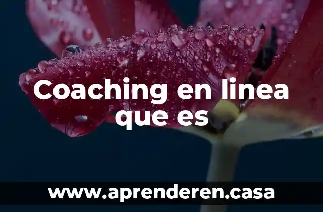Que es encuestas pagadas en linea 4 Coaching en linea que es