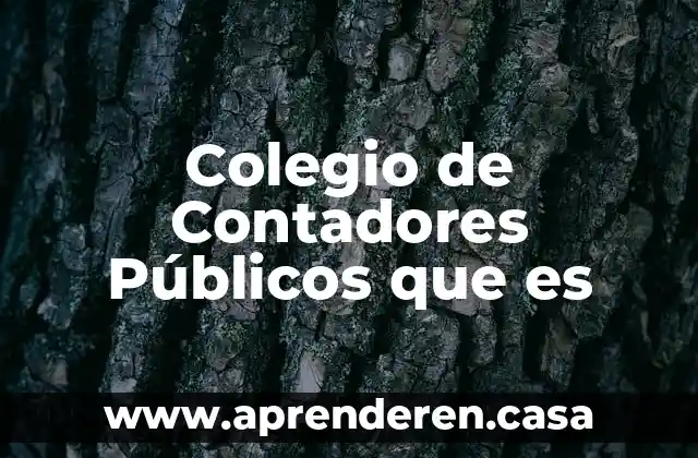 Colegio de Contadores Públicos que es