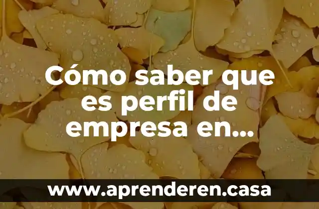 Cómo saber que es perfil de empresa en instagram