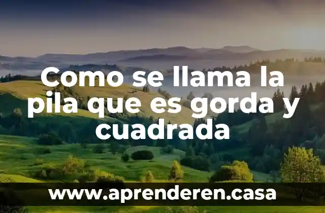 Como se llama la pila que es gorda y cuadrada