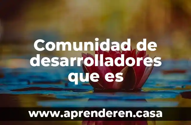 Que es vinculación con la comunidad 3 Comunidad de desarrolladores que es