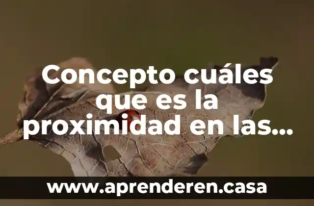 Concepto cuáles que es la proximidad en las artes