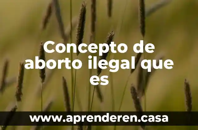 Concepto de aborto ilegal que es