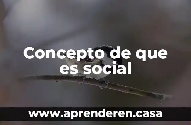Concepto de que es social