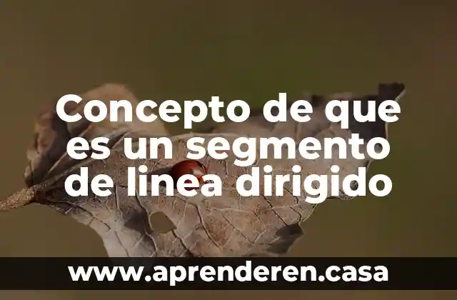 Concepto de que es un segmento de linea dirigido