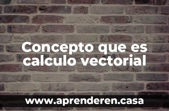 Concepto que es calculo vectorial