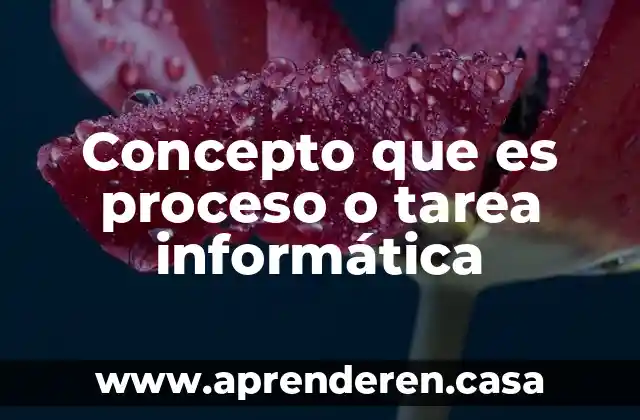 Concepto que es proceso o tarea informática