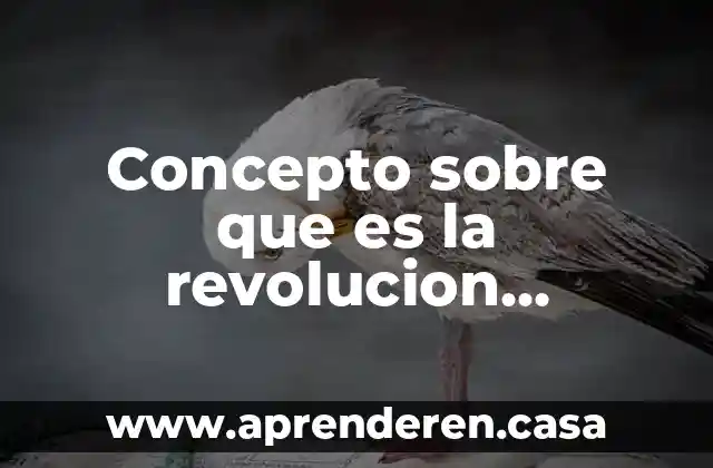 Concepto sobre que es la revolucion industrial