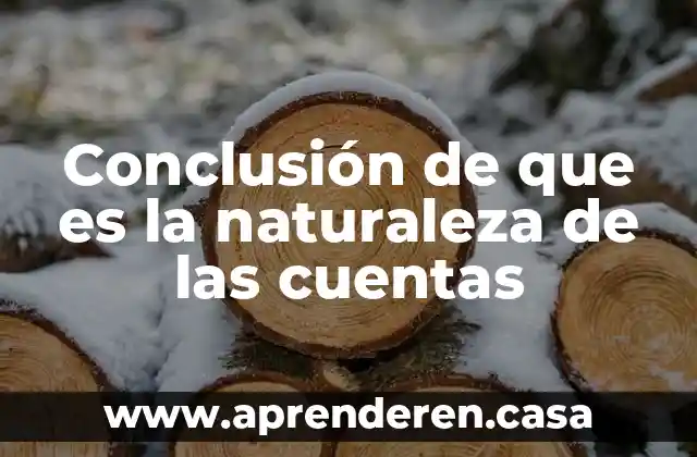 Conclusión de que es la naturaleza de las cuentas