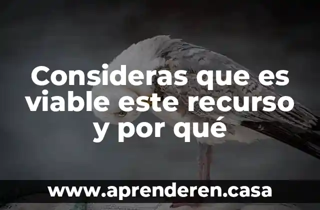 Consideras que es viable este recurso y por qué