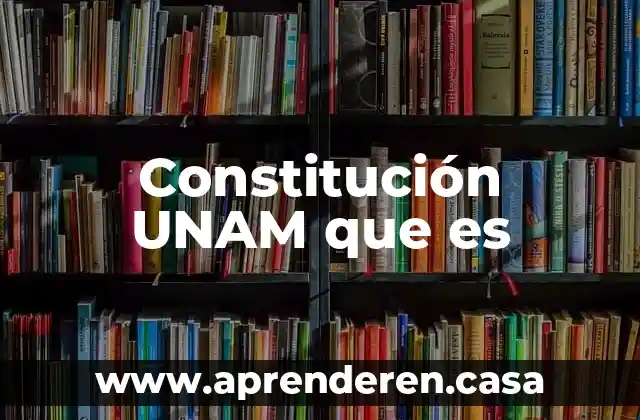 Constitución UNAM que es