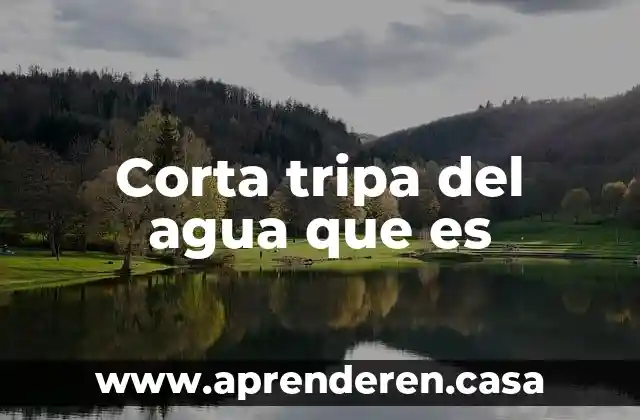 Qué es un corta fuego 6 Corta tripa del agua que es
