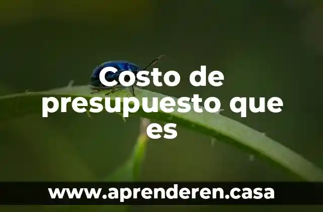 Costo de presupuesto que es
