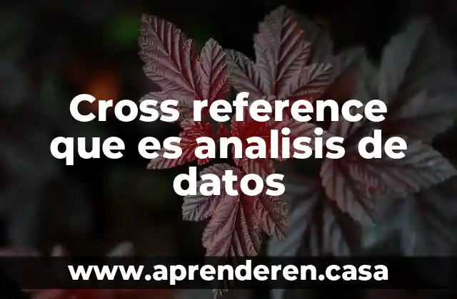 Qué es concepto de datos 5 Cross reference que es analisis de datos