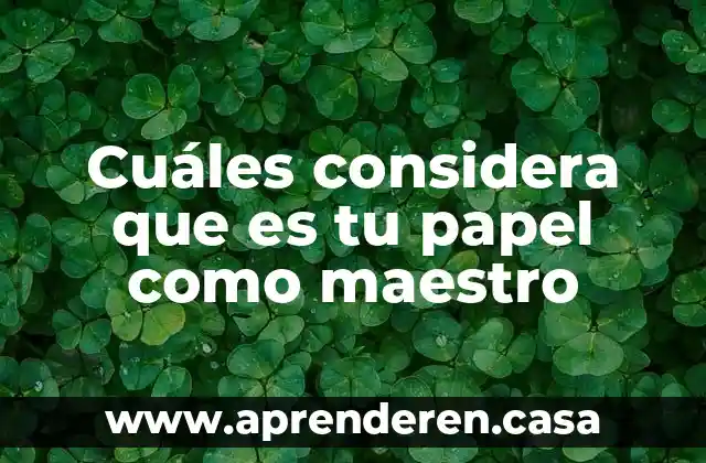 Cuáles considera que es tu papel como maestro