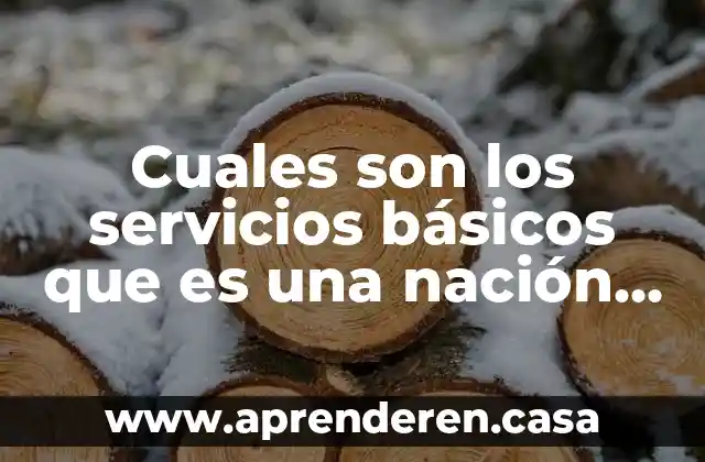 Cuales son los servicios básicos que es una nación pluricultural