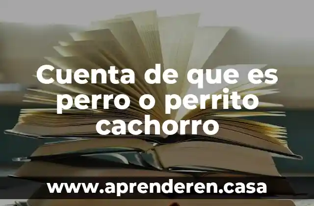 Nombre de cuenta bancaria que es 3 Cuenta de que es perro o perrito cachorro