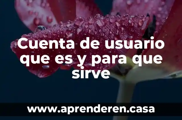 Cuenta de usuario que es y para que sirve
