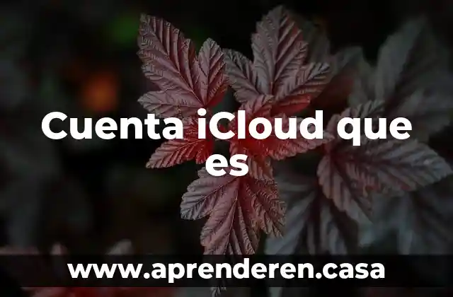 Cuenta iCloud que es