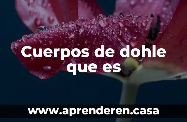 Cuerpos de dohle que es