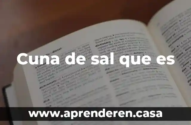 Cuna de sal que es