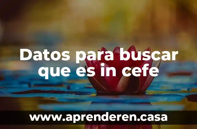 Datos para buscar que es in cefe