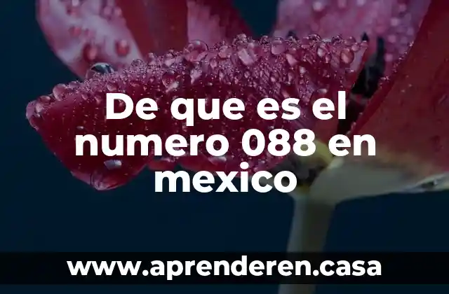 De que es el numero 088 en mexico
