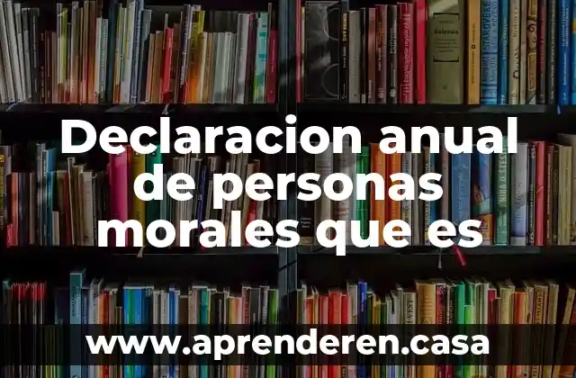 Declaracion anual de personas morales que es