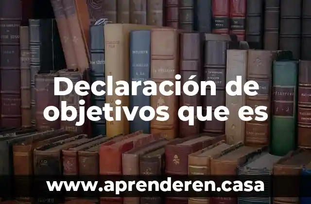 Declaración de objetivos que es