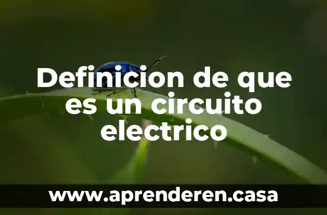 Definicion de que es un circuito electrico