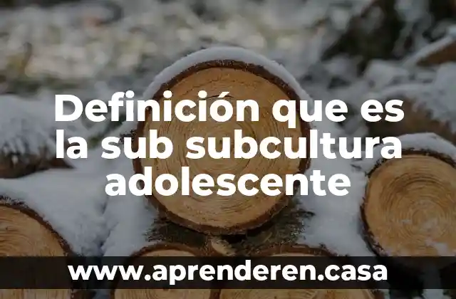 Definición que es la sub subcultura adolescente
