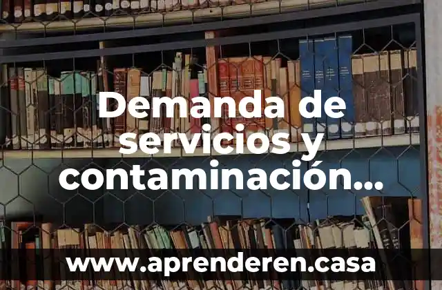 Demanda de servicios y contaminación que es