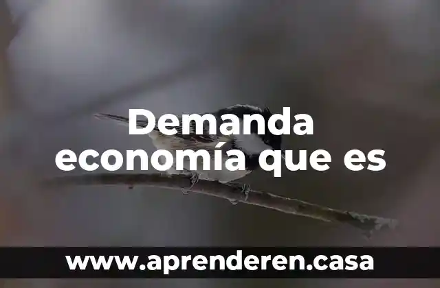 Demanda economía que es