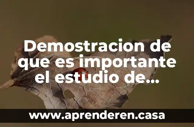 Demostracion de que es importante el estudio de mercado