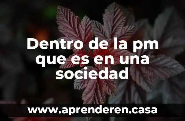 Dentro de la pm que es en una sociedad