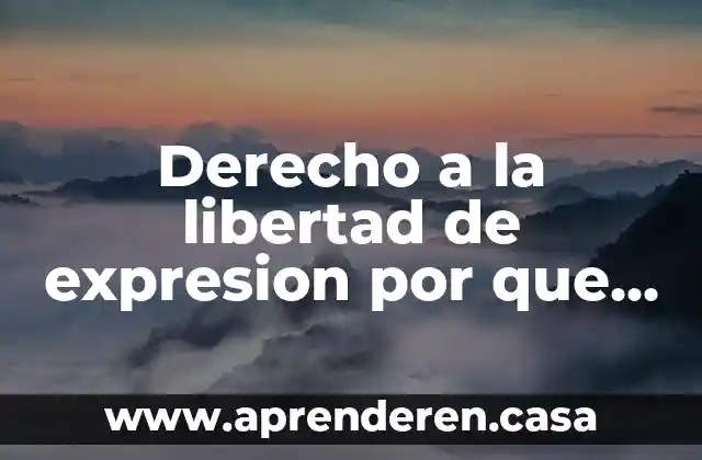 Derecho a la libertad de expresion por que es importante
