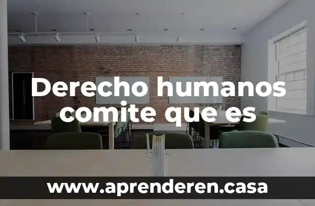 Derecho humanos comite que es