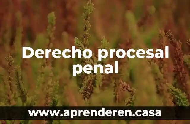 Que es la procedibilidad en materia penal 3 Derecho procesal penal