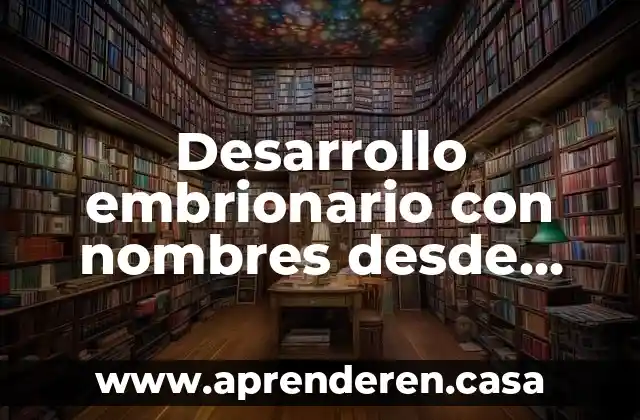 Desarrollo embrionario con nombres desde que es producto