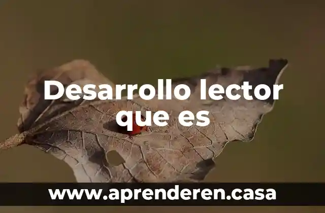 Desarrollo lector que es