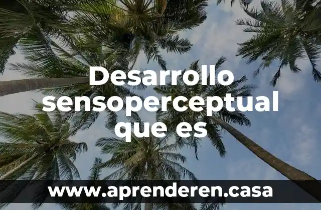 Desarrollo sensoperceptual que es