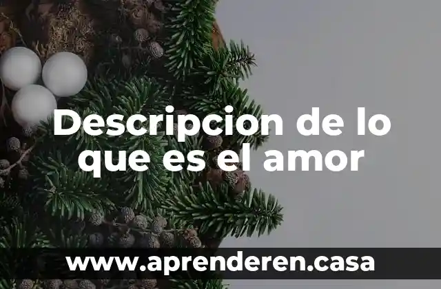Descripcion de lo que es el amor