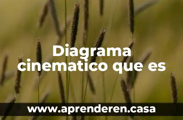 Diagrama cinematico que es