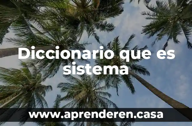 Diccionario que es sistema