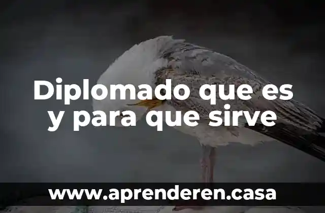 Diplomado que es y para que sirve