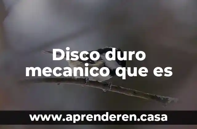 Disco duro mecanico que es