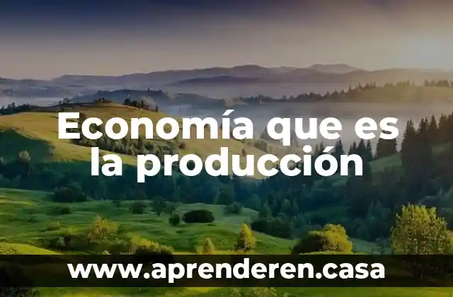 Economía que es la producción