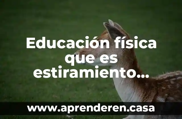 Educación física que es estiramiento concepto