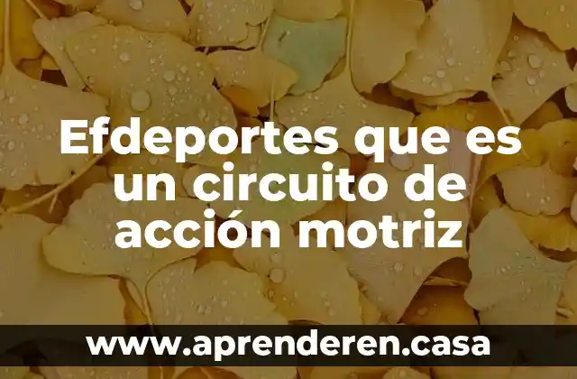 Efdeportes que es un circuito de acción motriz