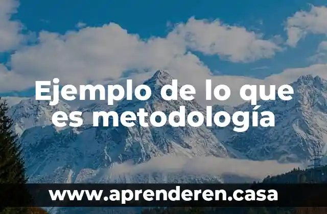 Ejemplo de lo que es metodología